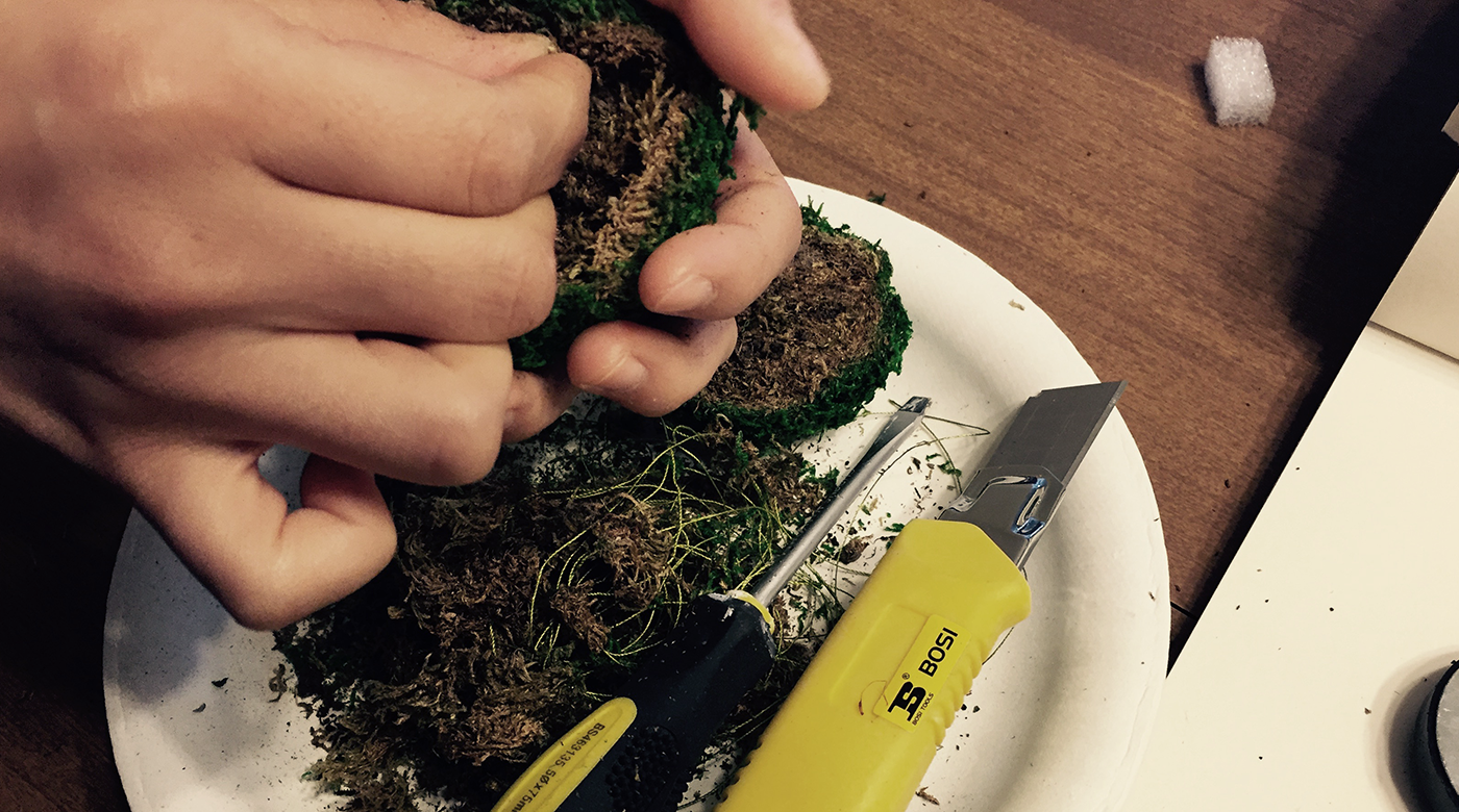 Cutting open the moss ball