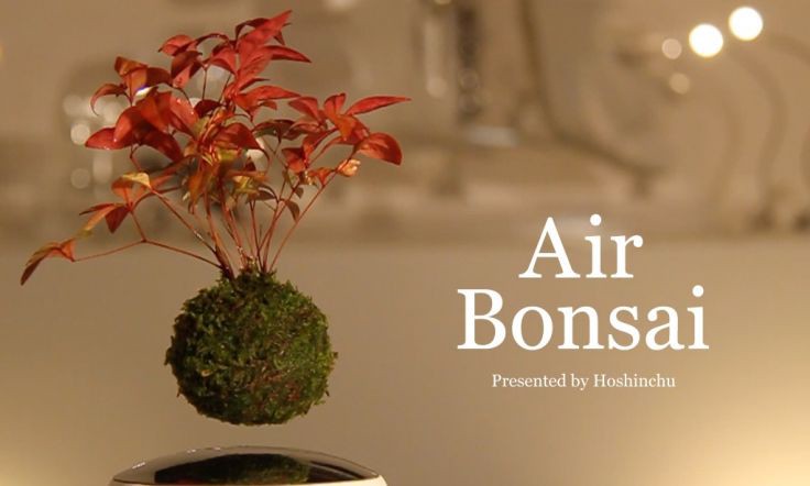 Original Air Bonsai